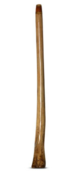 Brad Hagelstein Didgeridoo (BH049)